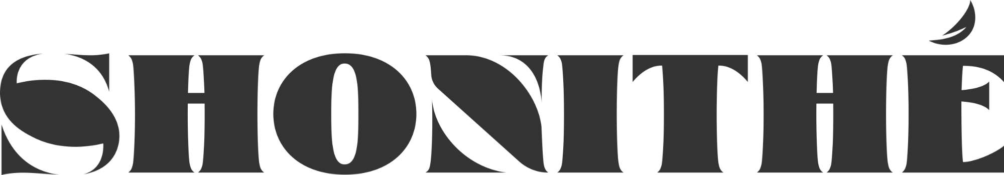 logo lettrage serif noir
